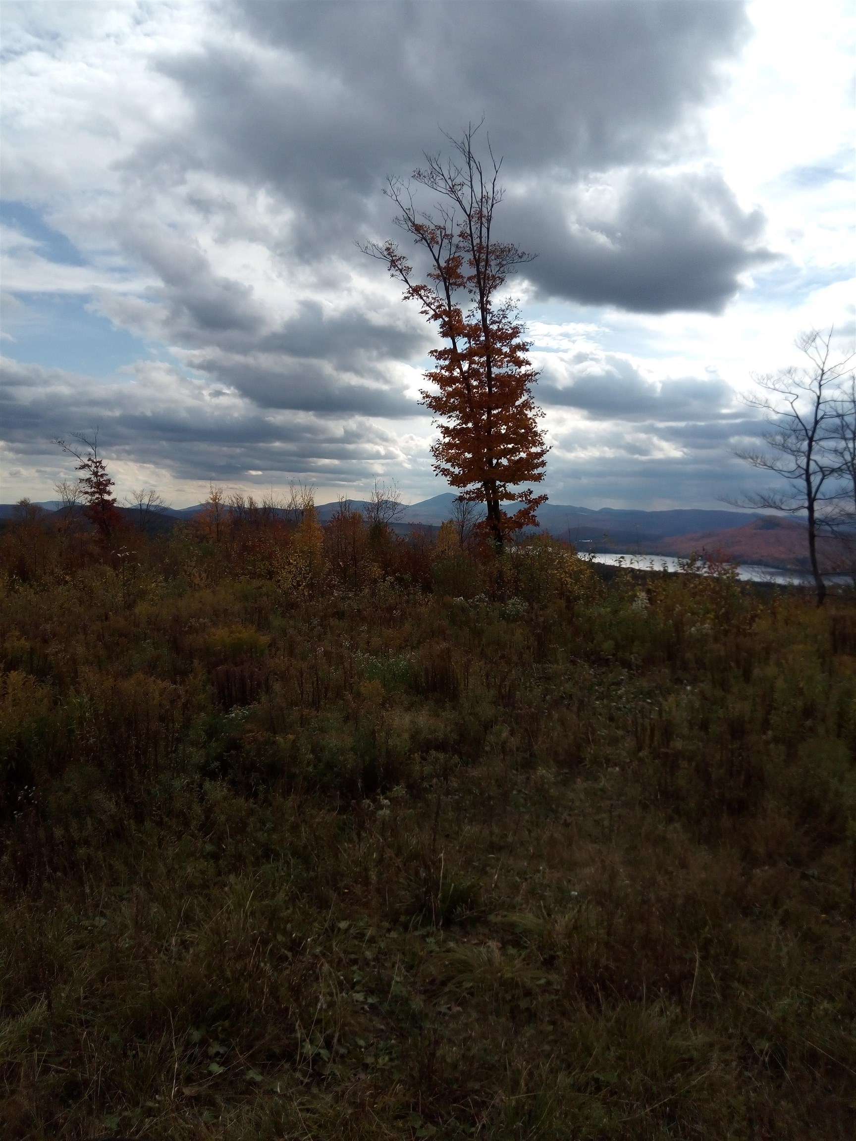 O Toad Pond Road Morgan, VT 05853 - Photo 10 of 18