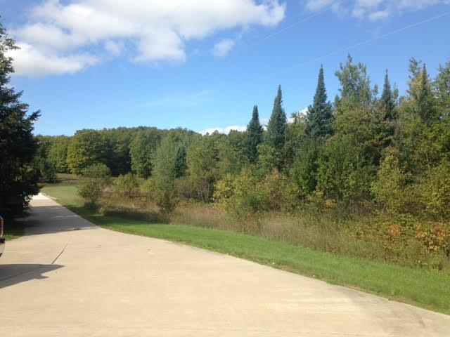 4838 Rondo Road Wolverine, MI 49799 - Photo 27 of 37 Gallery Image 27