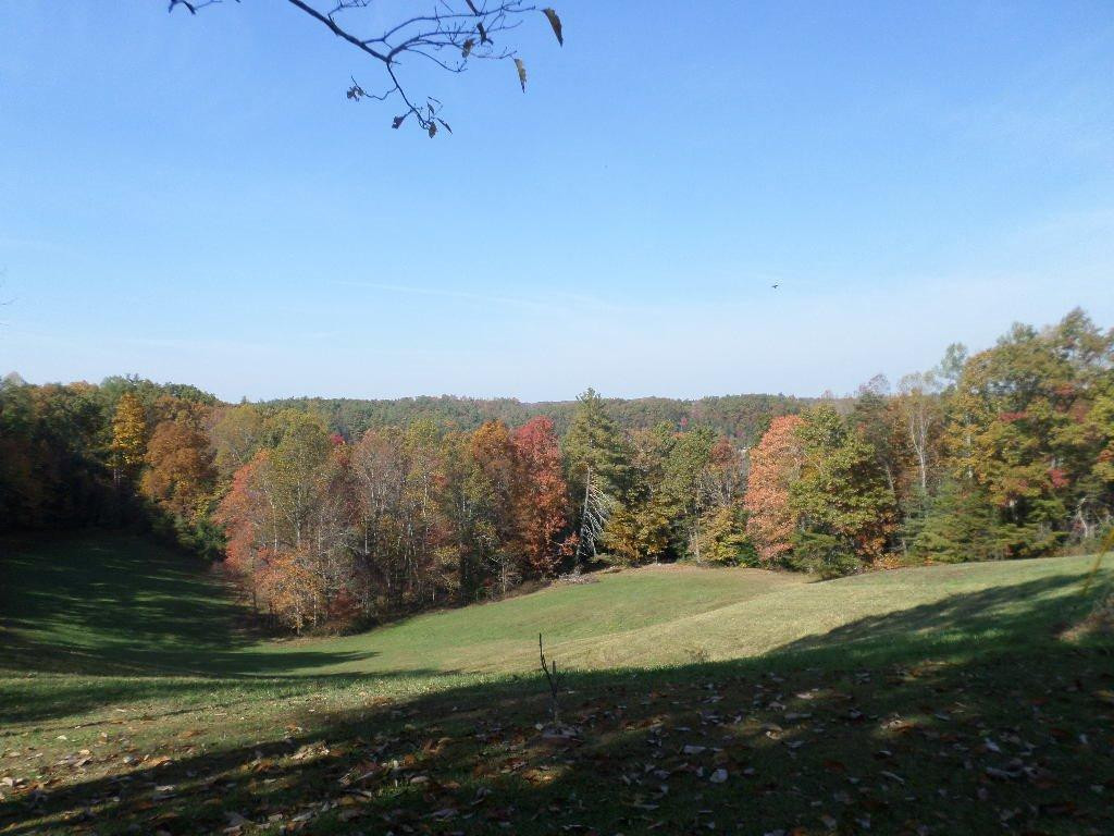 1414 Heizer Hill Road Wellington, KY 40387 - Photo 22 of 46 Photo 22