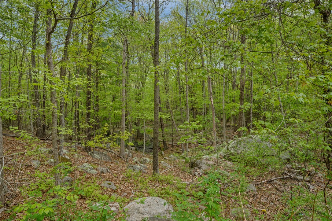 343 Hope Furnace Road Scituate, RI 02831 - Photo 29 of 33