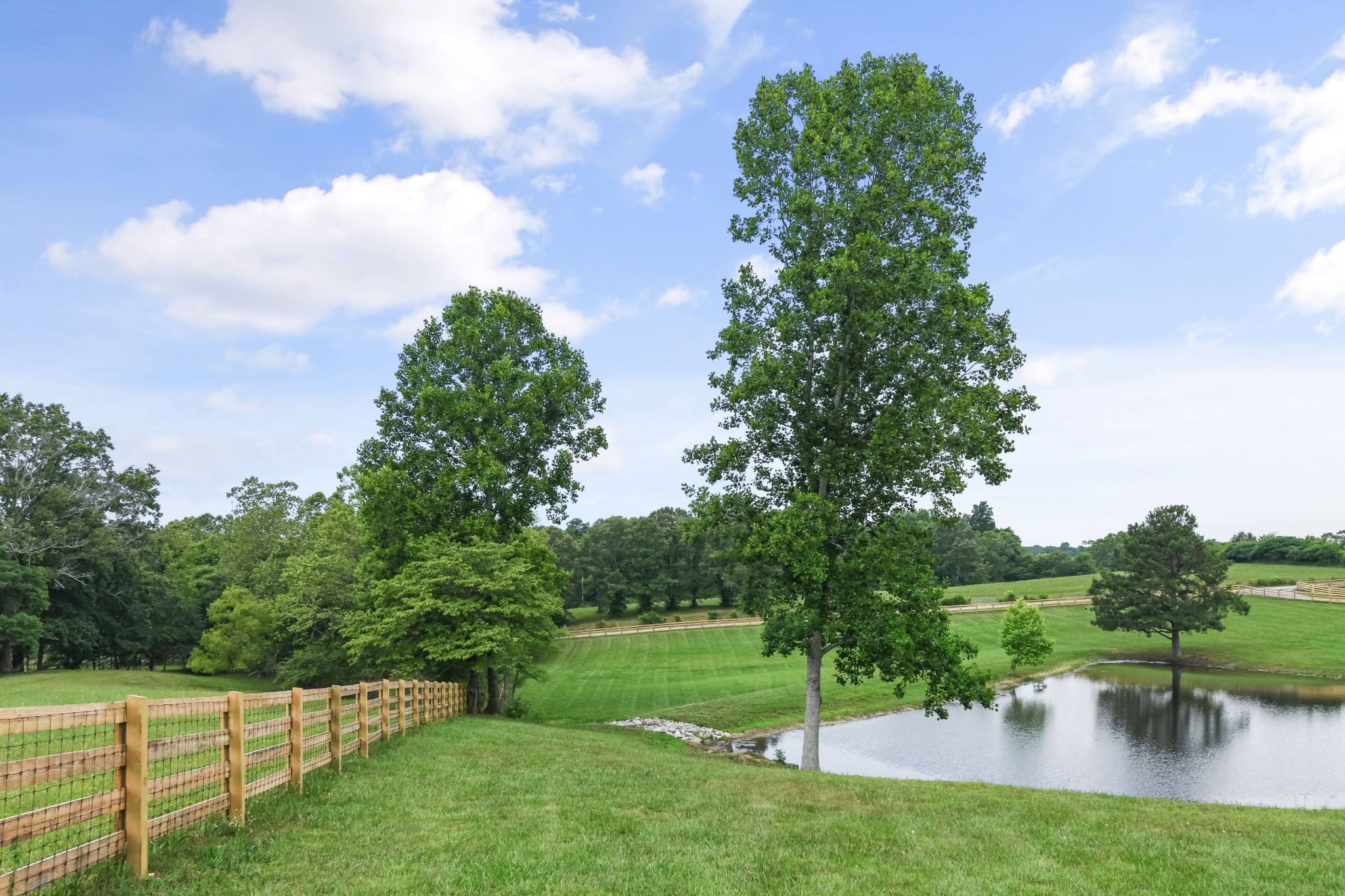 7720 Smith Road Primm Springs, TN 38476 - Photo 51 of 58 a view of a lake with a yard