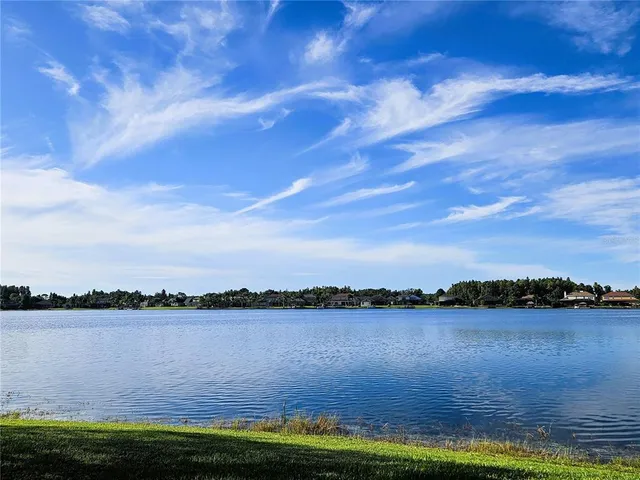 $3,800 | 16023 Ivy Lake Drive, Odessa, FL 33556