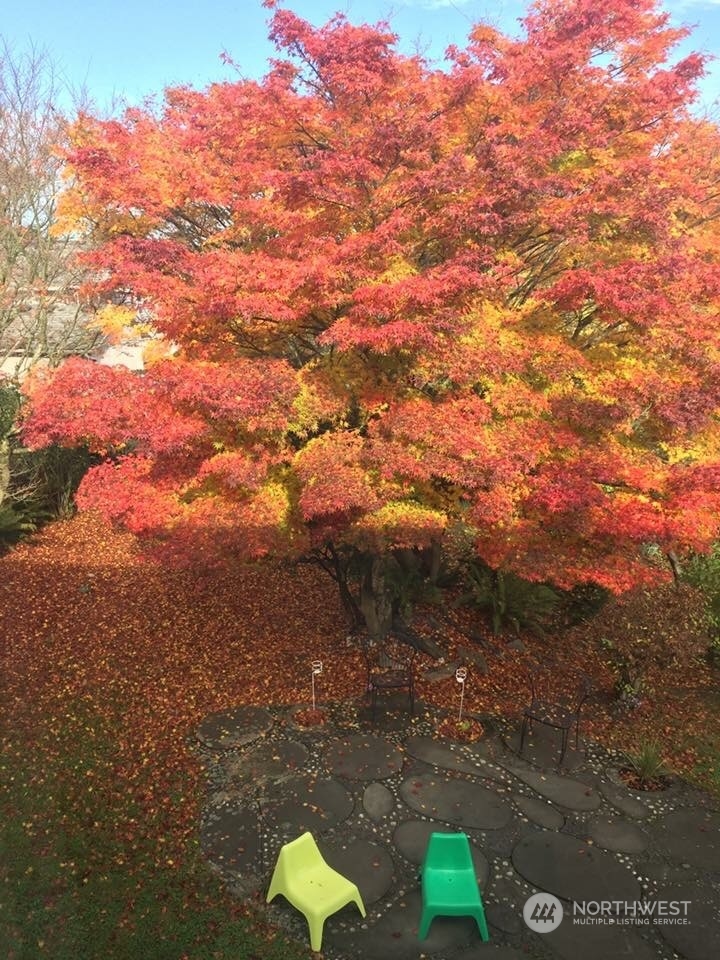 2520 South Raymond Street Seattle, WA 98108 - Photo 39 of 39