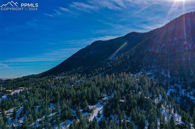 Shoshone Road Cascade, CO 80809 - Photo 15 of 25