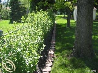 2340 Melvin Avenue Rochester, MI 48307 - Photo 21 of 22 Natural Fence.jpeg