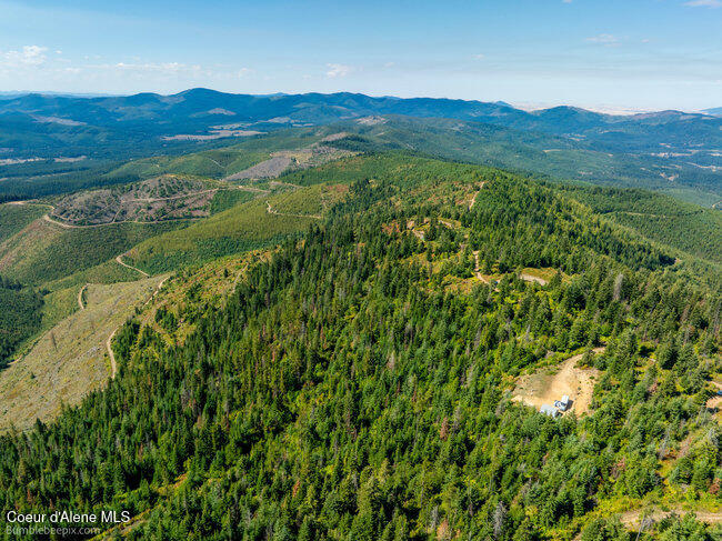 Nna Cherry Creek Road St. Maries, ID 83861 - Photo 11 of 32 Views