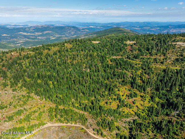 Nna Cherry Creek Road St. Maries, ID 83861 - Photo 13 of 32 Aerial