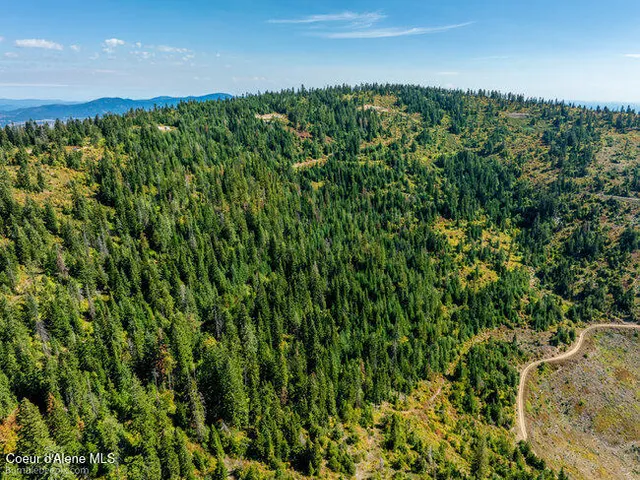 $175,000 | Nna Cherry Creek Road, St. Maries, ID 83861