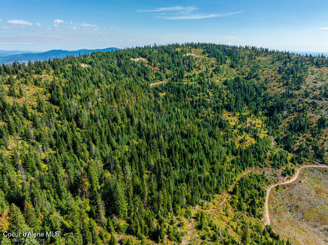 Nna Cherry Creek Road St. Maries, ID 83861 - Photo 16 of 32 Aerial