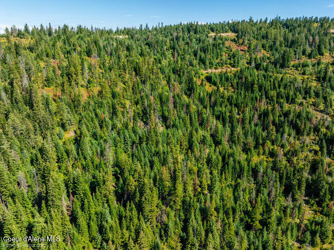 Nna Cherry Creek Road St. Maries, ID 83861 - Photo 19 of 32 Aerial