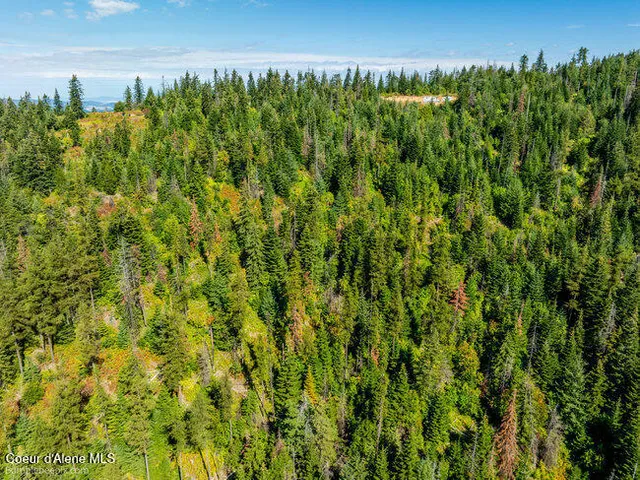 $175,000 | Nna Cherry Creek Road, St. Maries, ID 83861