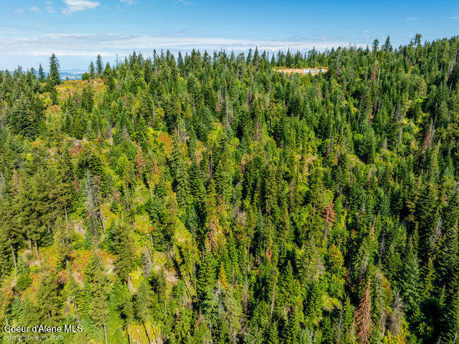 Nna Cherry Creek Road St. Maries, ID 83861 - Photo 20 of 32 Aerial