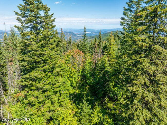 Nna Cherry Creek Road St. Maries, ID 83861 - Photo 30 of 32 View