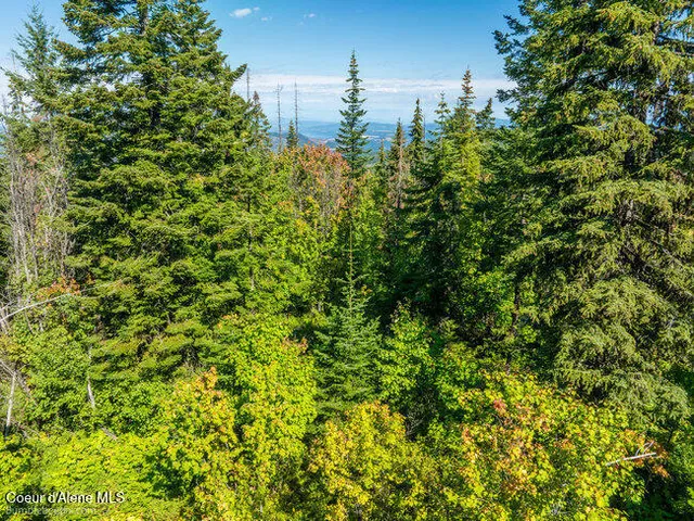 $175,000 | Nna Cherry Creek Road, St. Maries, ID 83861