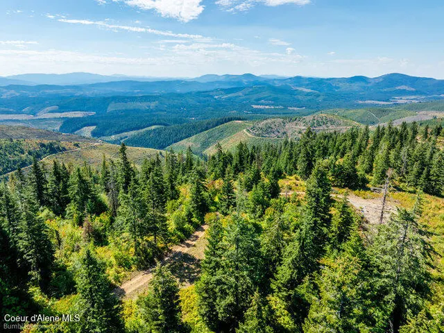 $175,000 | Nna Cherry Creek Road, St. Maries, ID 83861