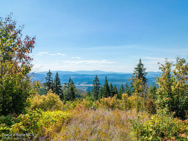 Nna Cherry Creek Road St. Maries, ID 83861 - Photo 5 of 32 360 Views