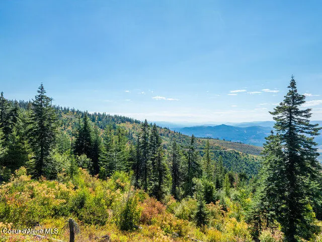 $175,000 | Nna Cherry Creek Road, St. Maries, ID 83861