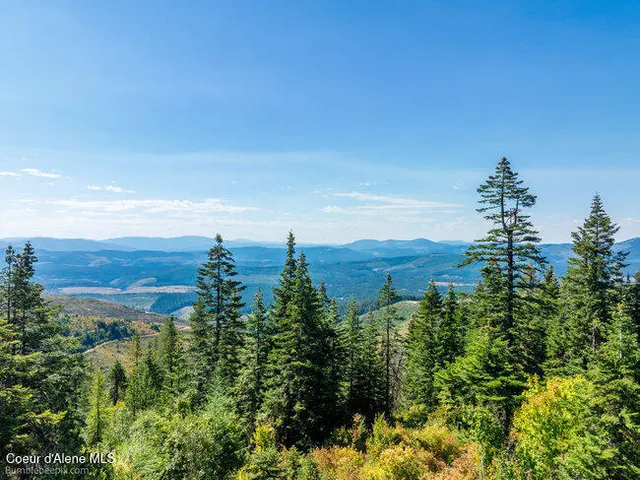 $175,000 | Nna Cherry Creek Road, St. Maries, ID 83861