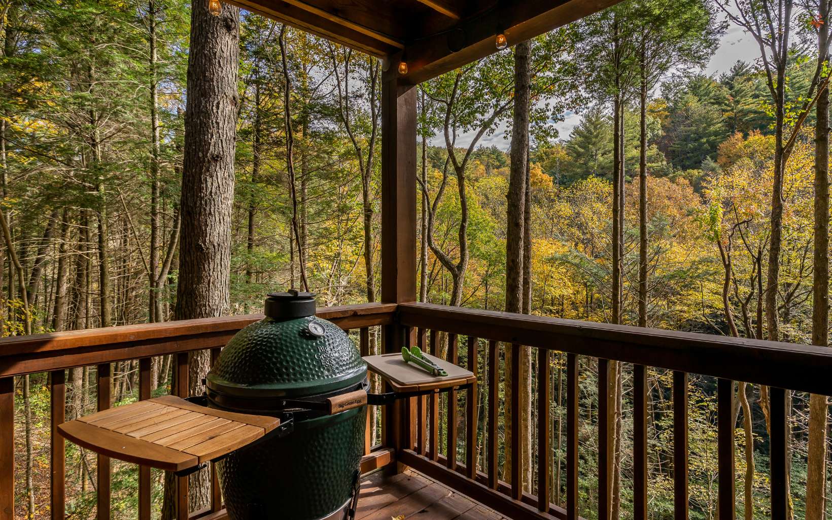 135 Laurel Overlook Road Ellijay, GA 30540 - Photo 3 of 4 Additional View