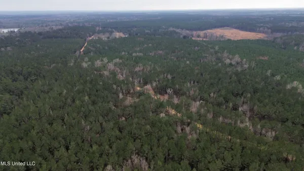 $395,900 | Mt Gilead Road, Smithdale, MS 39664