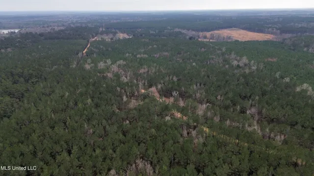 $395,900 | Mt Gilead Road, Smithdale, MS 39664