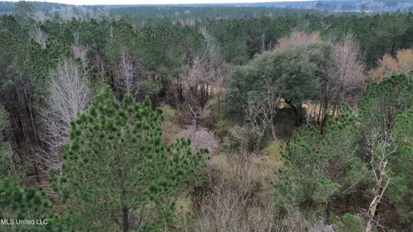 $395,900 | Mt Gilead Road, Smithdale, MS 39664