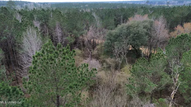 $395,900 | Mt Gilead Road, Smithdale, MS 39664