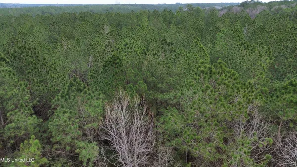 $395,900 | Mt Gilead Road, Smithdale, MS 39664