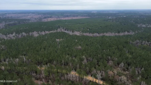 $395,900 | Mt Gilead Road, Smithdale, MS 39664