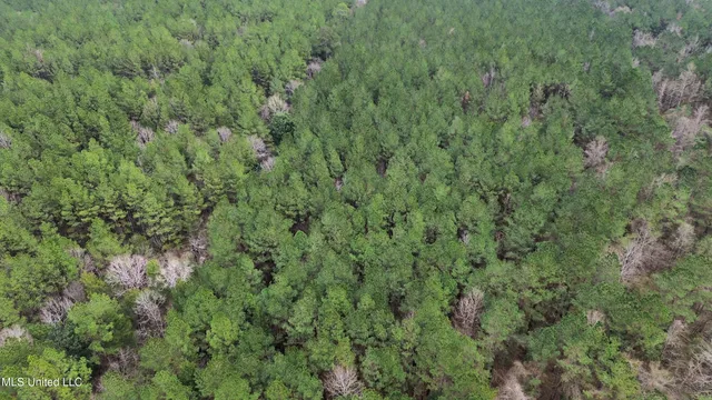 $395,900 | Mt Gilead Road, Smithdale, MS 39664