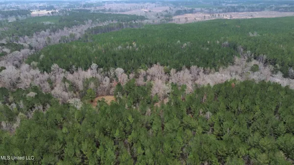 $395,900 | Mt Gilead Road, Smithdale, MS 39664