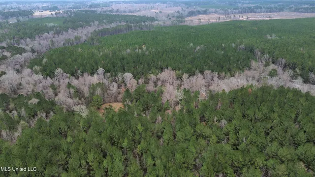 $395,900 | Mt Gilead Road, Smithdale, MS 39664