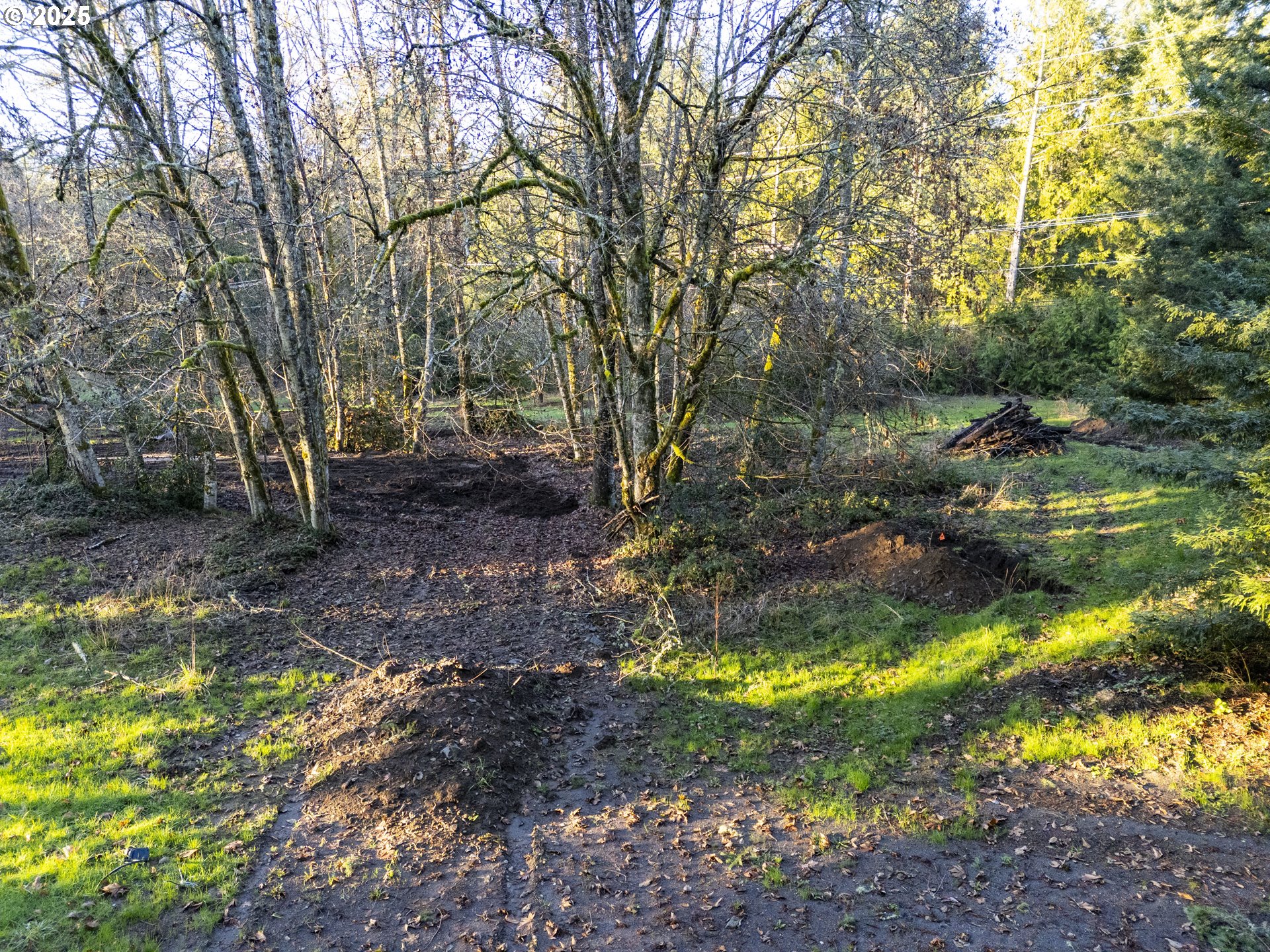 Old Lewis River Road Woodland, WA 98674 - Photo 12 of 20 Gallery Image 12