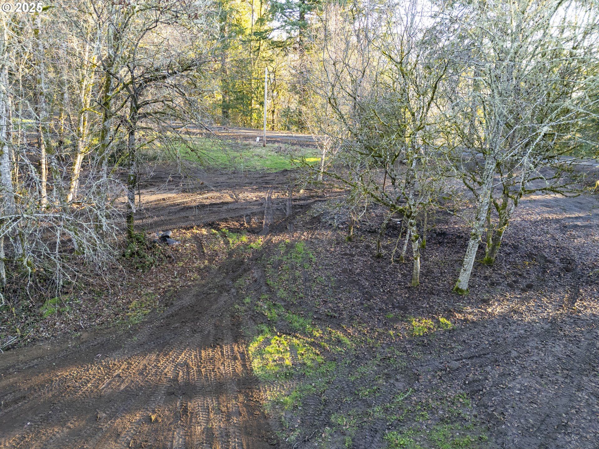 Old Lewis River Road Woodland, WA 98674 - Photo 13 of 20 Gallery Image 13