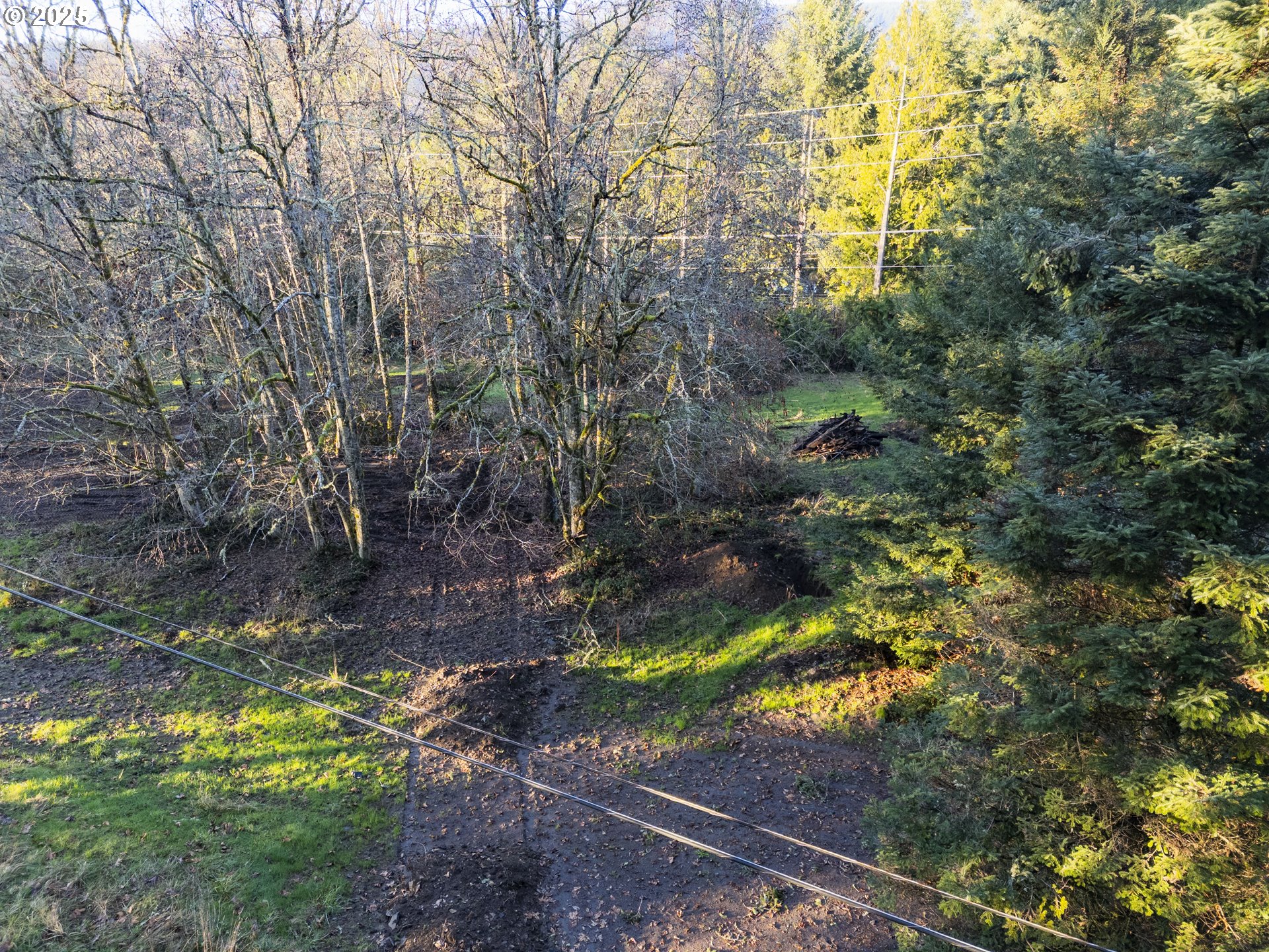 Old Lewis River Road Woodland, WA 98674 - Photo 15 of 20 Gallery Image 15