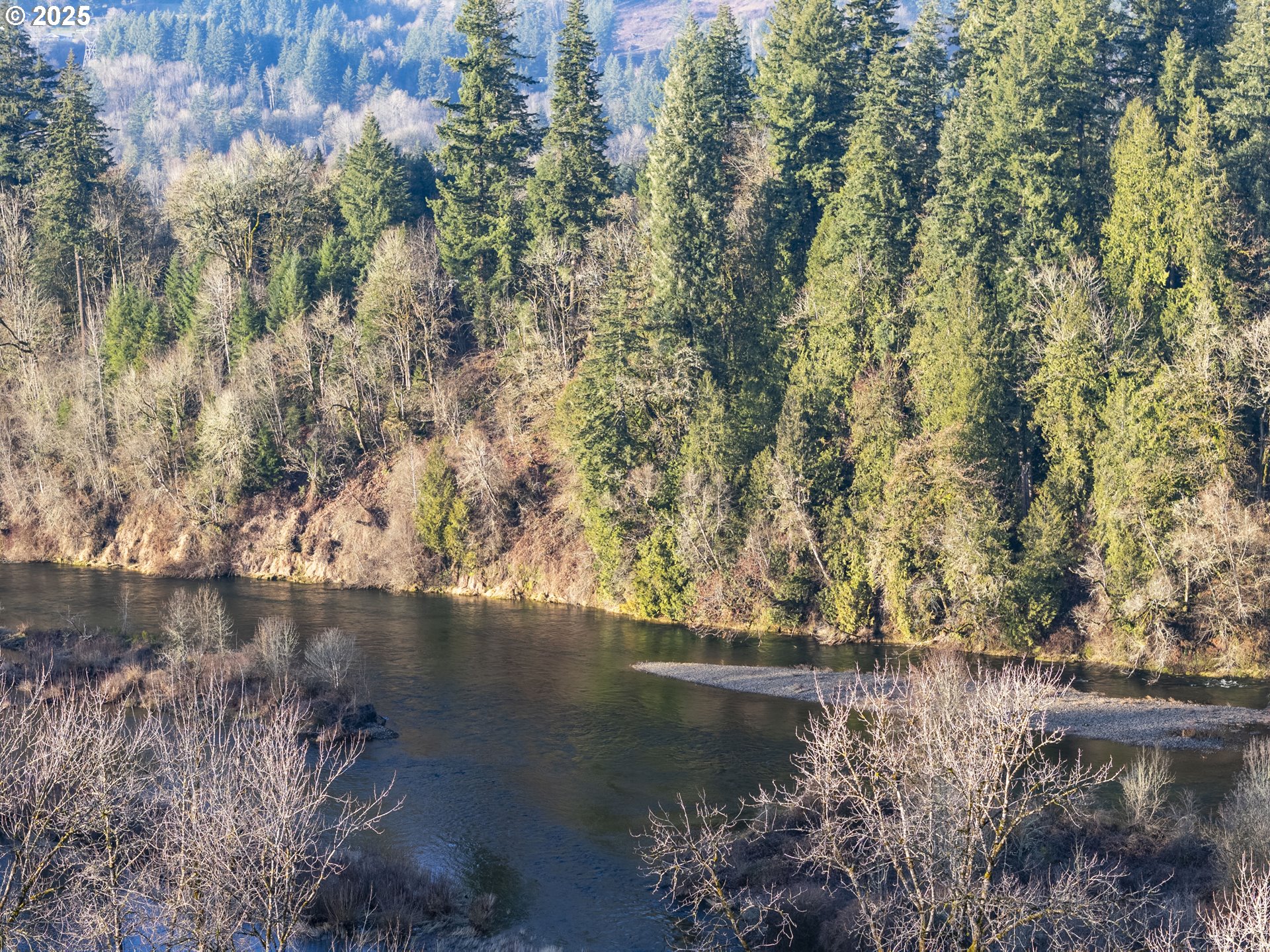 Old Lewis River Road Woodland, WA 98674 - Photo 3 of 20 Gallery Image 3