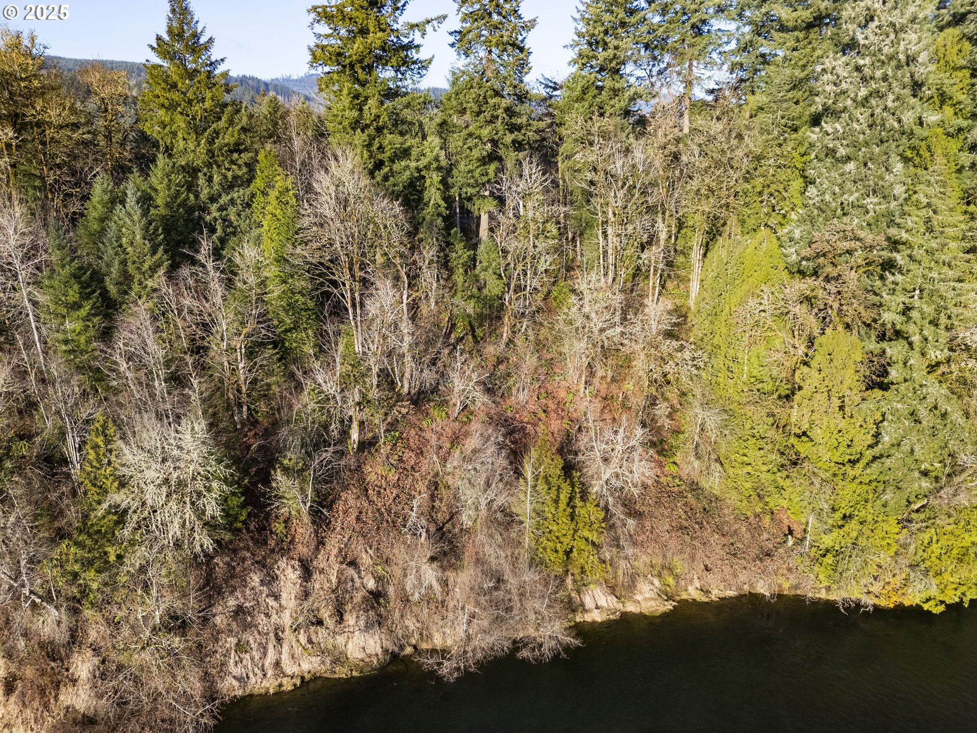 Old Lewis River Road Woodland, WA 98674 - Photo 9 of 20 Gallery Image 9