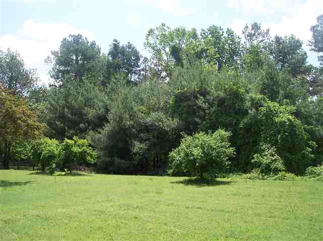 608 Roper Mountain Road Greenville, SC 29615 - Photo 19 of 21