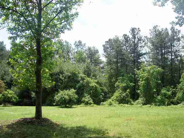 608 Roper Mountain Road Greenville, SC 29615 - Photo 20 of 21