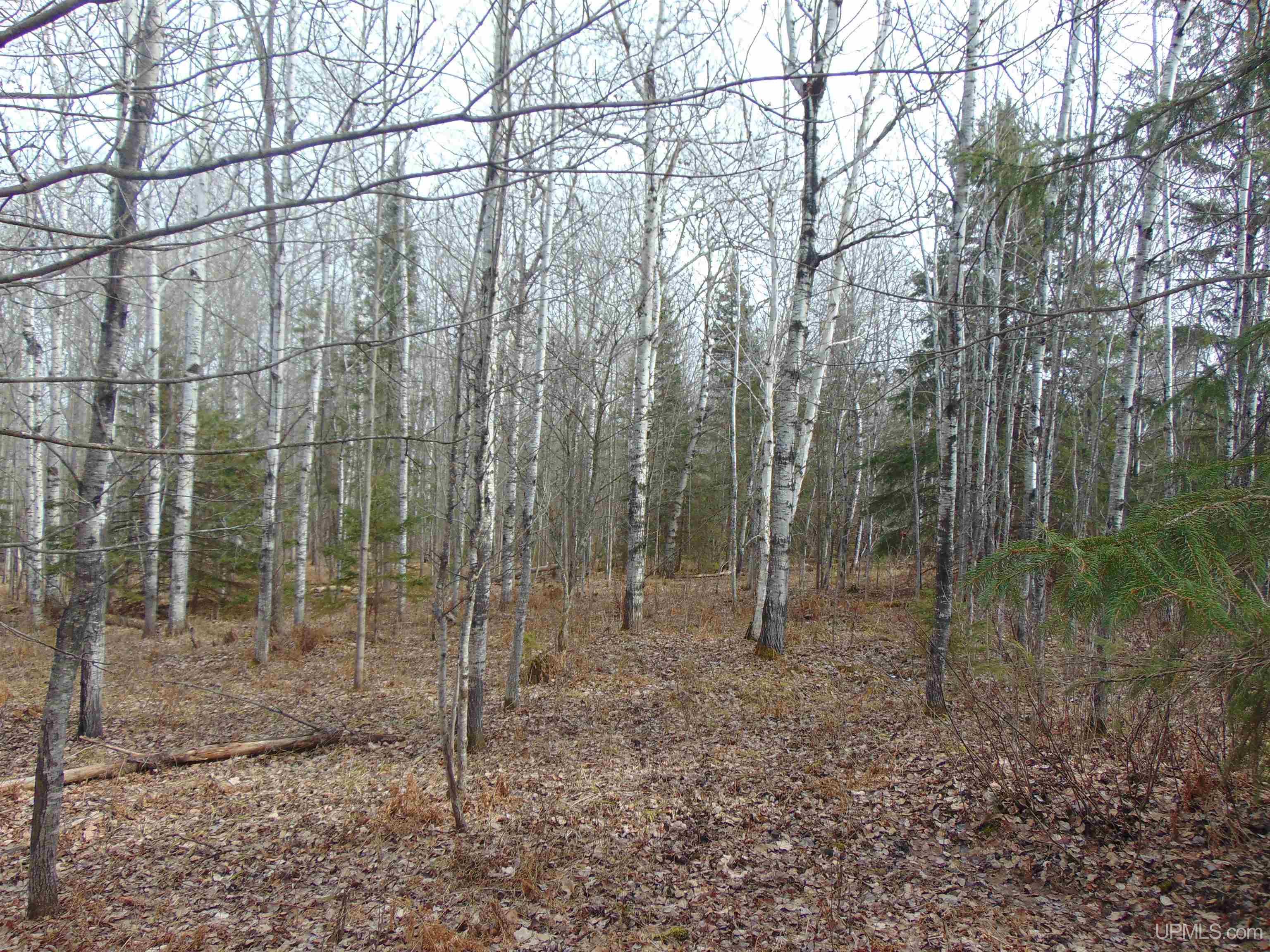 20 Grenlund Road Bruce Crossing, MI 49912 - Photo 10 of 18