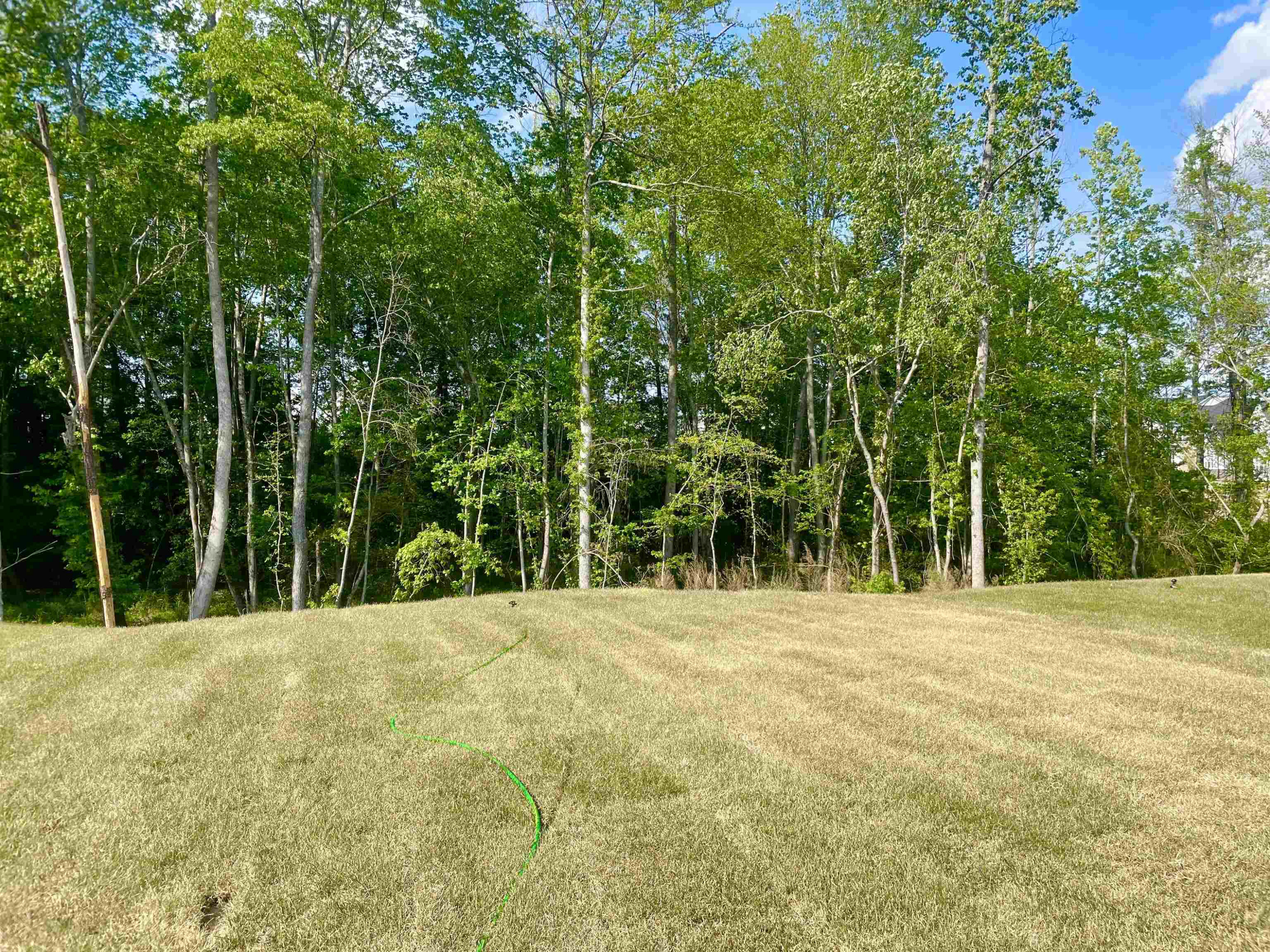 6020 Balance Court, Unit 2285 Raleigh, NC 27616 - Photo 3 of 24 Yard