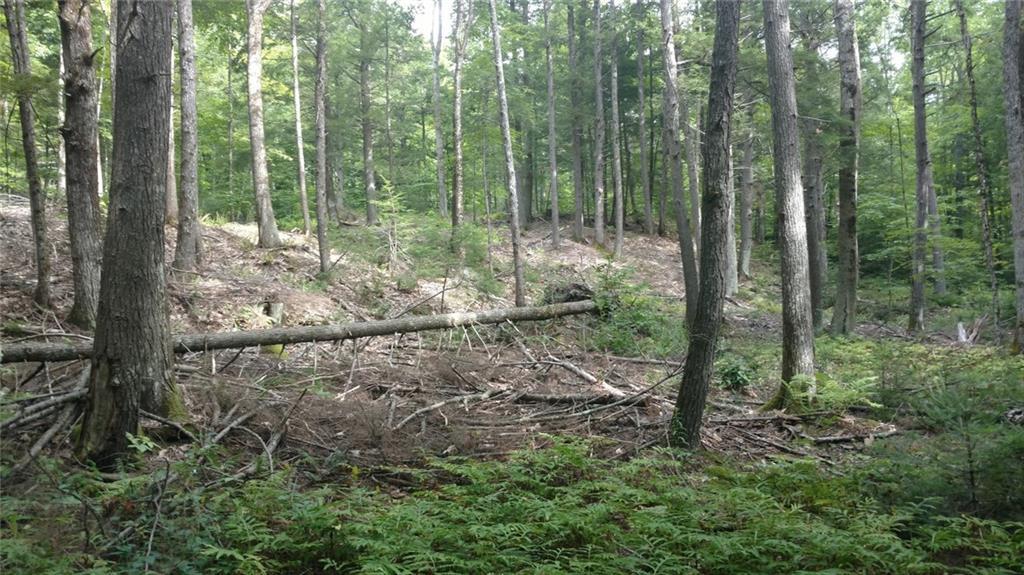 36 Flaggy Meadow Road Gorham, ME 04038 - Photo 12 of 22 Photo
