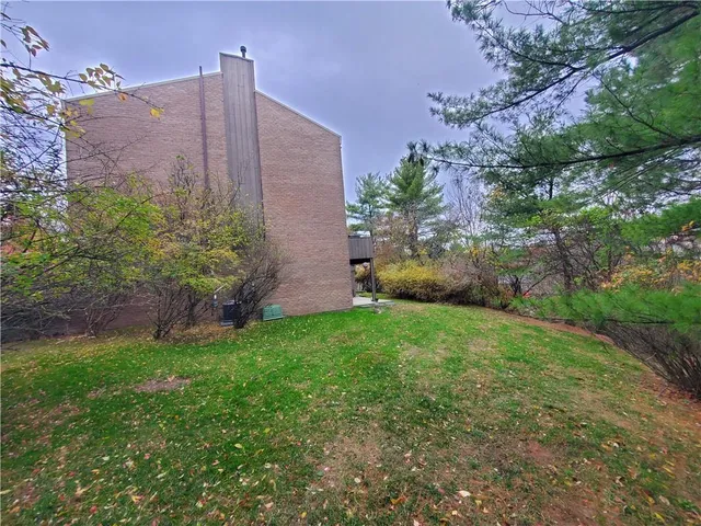 a view of a backyard with plants