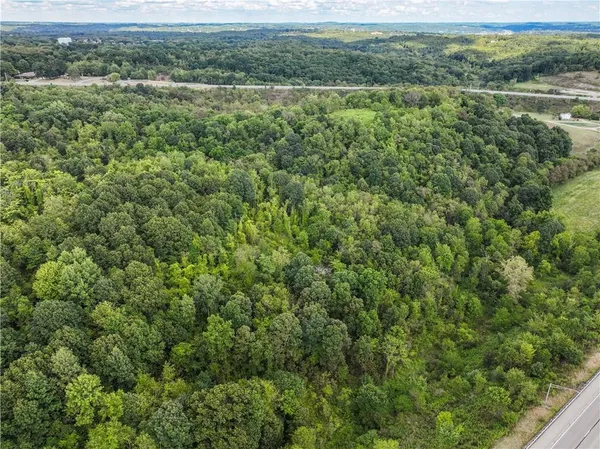 a view of a field with a lush green forest