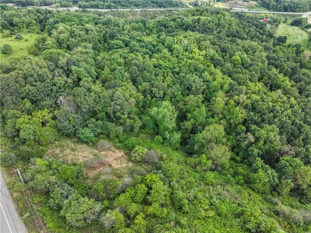 a view of a lush green forest with lots of trees
