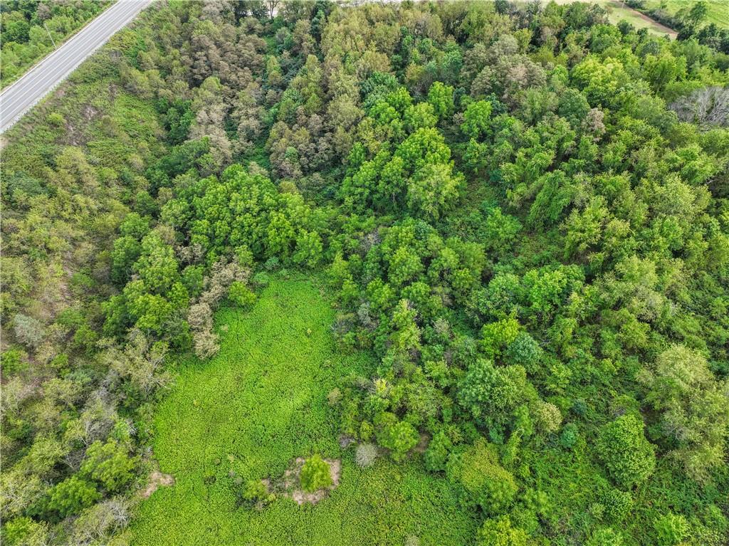 3803 Dutch Ridge Road Beaver, PA 15009 - Photo 7 of 12 a view of a lush green forest