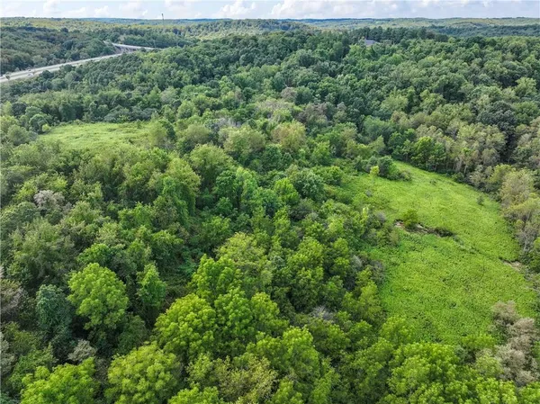 a view of a large yard with lots of green space