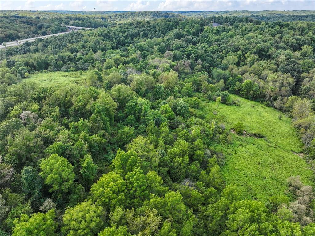 3803 Dutch Ridge Road Beaver, PA 15009 - Photo 10 of 12 a view of a lush green forest with lots of trees
