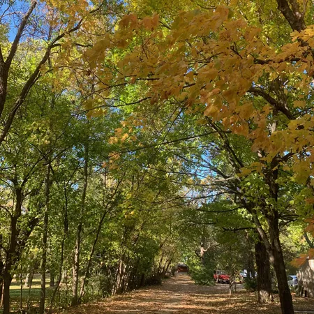 $798,500 | 2684 Cherry Ln Court Northeast, Alexandria, MN 56308