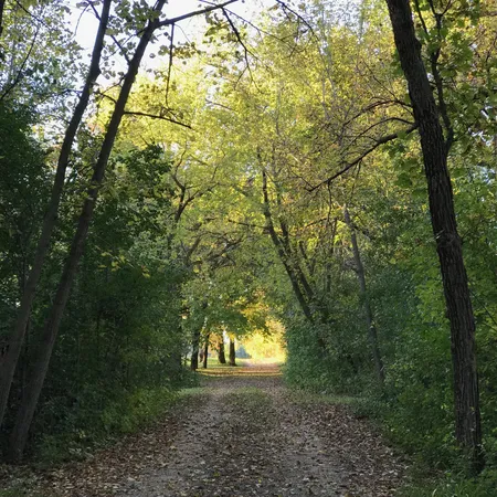 $798,500 | 2684 Cherry Ln Court Northeast, Alexandria, MN 56308